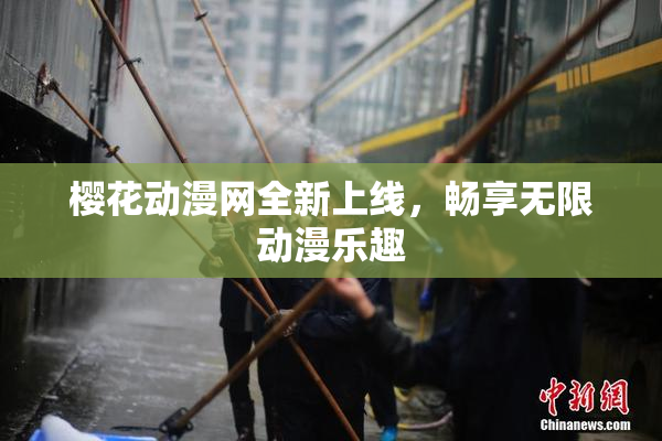 樱花动漫网全新上线，畅享无限动漫乐趣