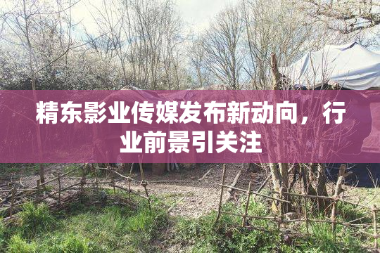 精东影业传媒发布新动向，行业前景引关注