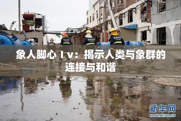 象人脚心Ⅰv：揭示人类与象群的连接与和谐