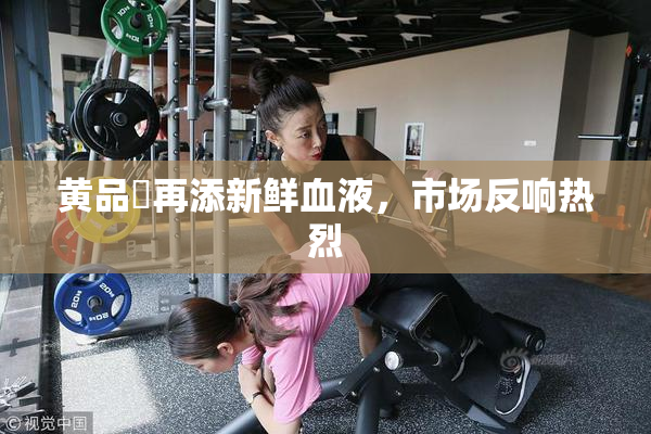 黄品匯再添新鲜血液，市场反响热烈