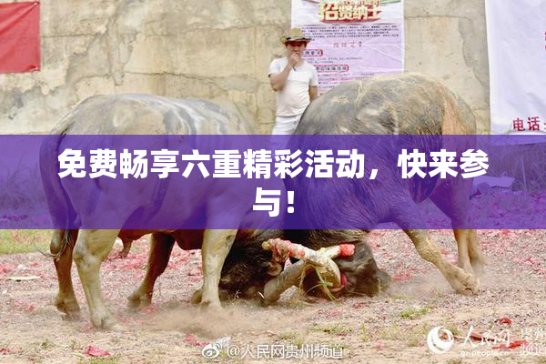 免费畅享六重精彩活动，快来参与！