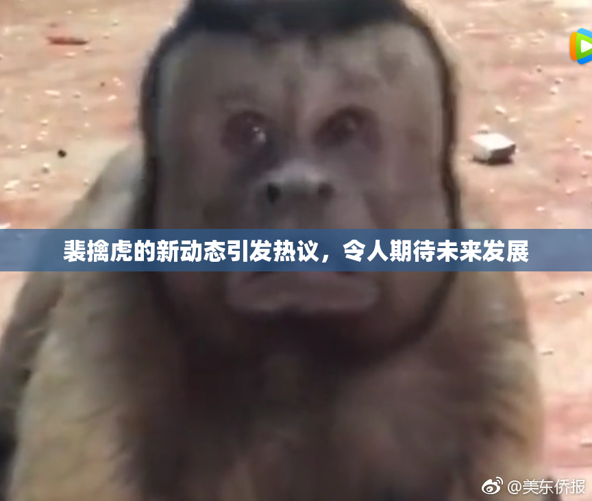 裴擒虎的新动态引发热议，令人期待未来发展