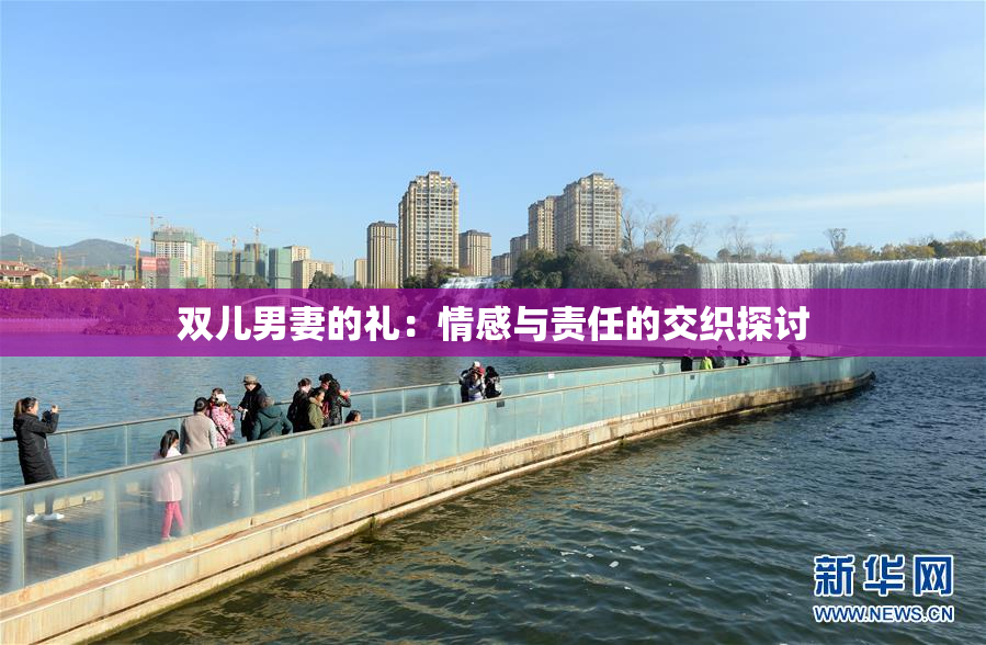 双儿男妻的礼：情感与责任的交织探讨