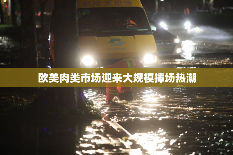 欧美肉类市场迎来大规模捧场热潮