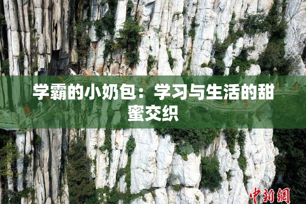 学霸的小奶包：学习与生活的甜蜜交织