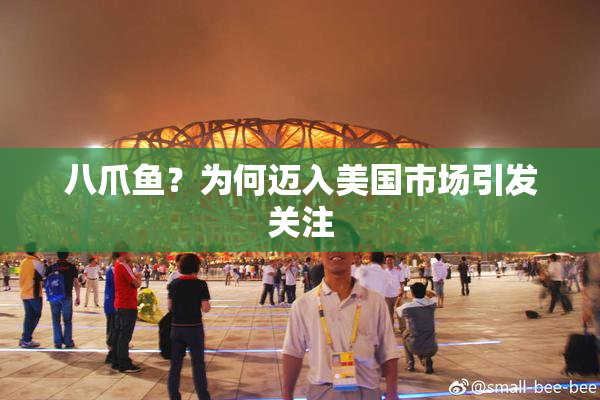 八爪鱼？为何迈入美国市场引发关注