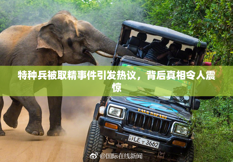 特种兵被取精事件引发热议，背后真相令人震惊