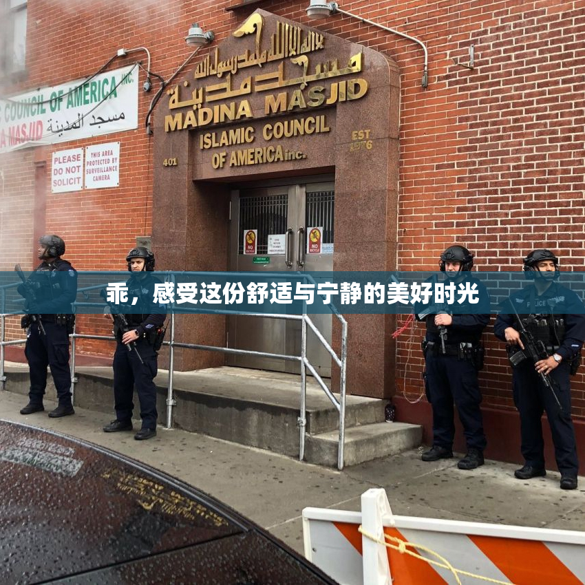 乖，感受这份舒适与宁静的美好时光