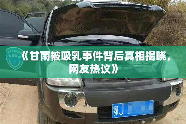 《甘雨被吸乳事件背后真相揭晓，网友热议》