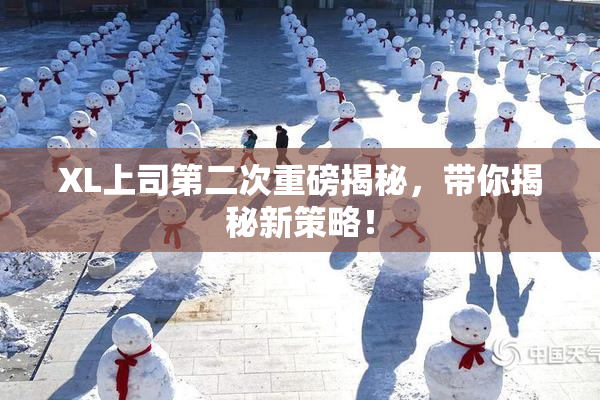 XL上司第二次重磅揭秘，带你揭秘新策略！