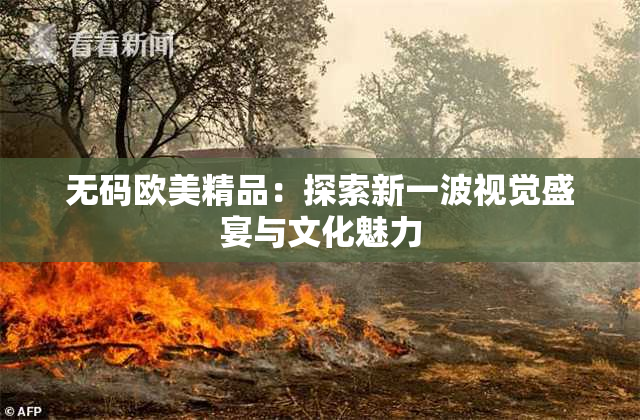 无码欧美精品：探索新一波视觉盛宴与文化魅力