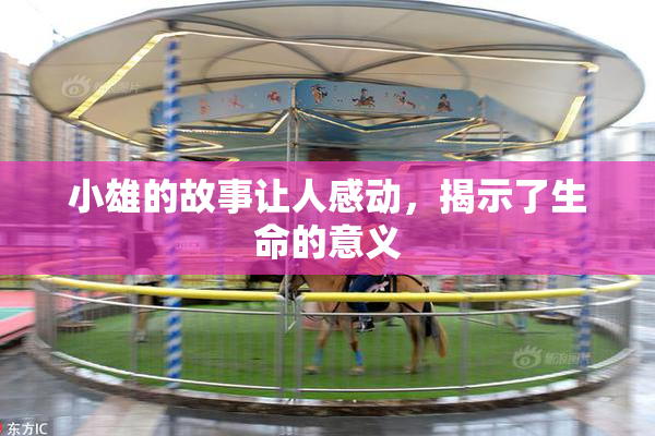 小雄的故事让人感动，揭示了生命的意义