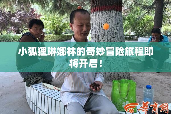 小狐狸琳娜林的奇妙冒险旅程即将开启！