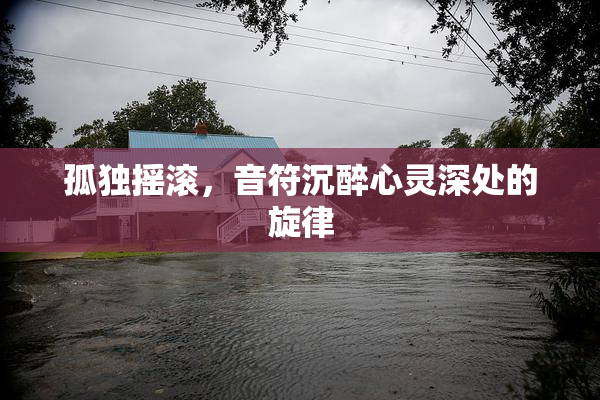 孤独摇滚，音符沉醉心灵深处的旋律