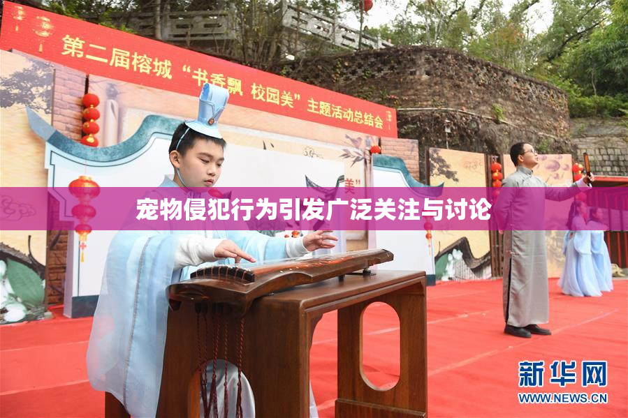 宠物侵犯行为引发广泛关注与讨论