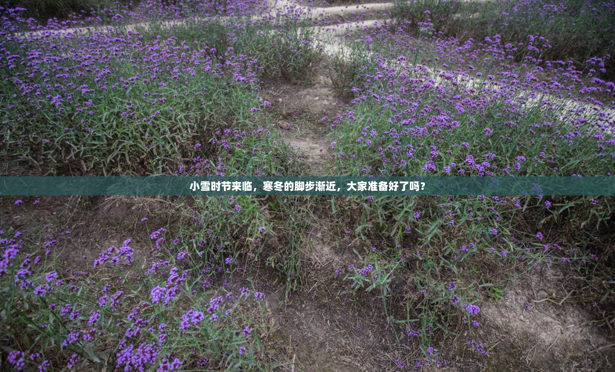 小雪时节来临，寒冬的脚步渐近，大家准备好了吗？