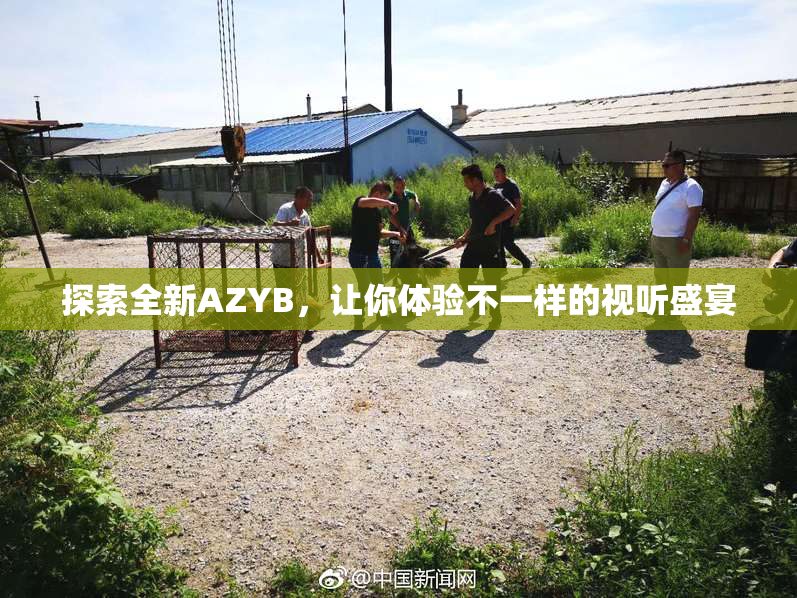 探索全新AZYB，让你体验不一样的视听盛宴
