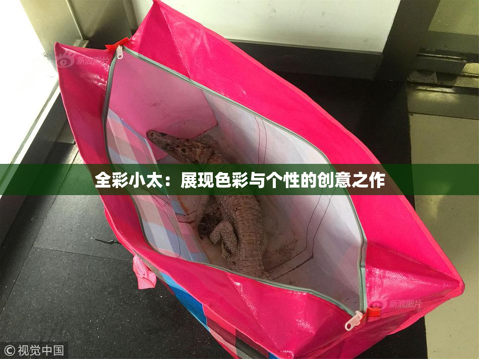 全彩小太：展现色彩与个性的创意之作