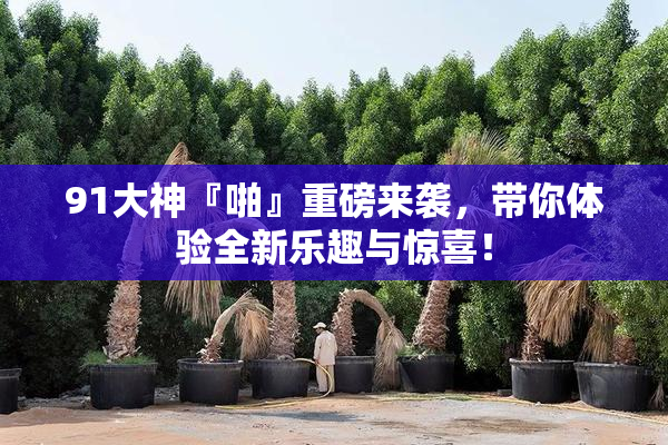 91大神『啪』重磅来袭，带你体验全新乐趣与惊喜！