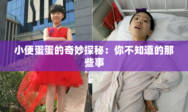小便蛋蛋的奇妙探秘：你不知道的那些事