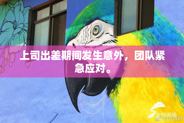 上司出差期间发生意外，团队紧急应对。