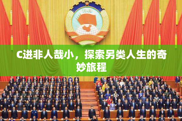 C进非人哉小，探索另类人生的奇妙旅程