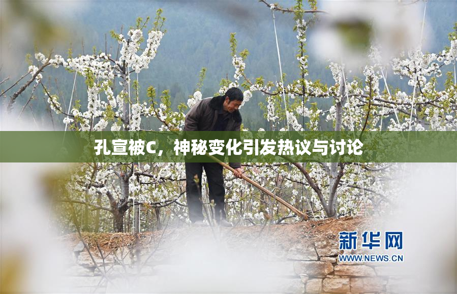 孔宣被C，神秘变化引发热议与讨论