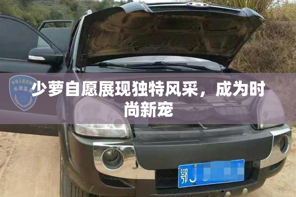 少萝自愿展现独特风采，成为时尚新宠
