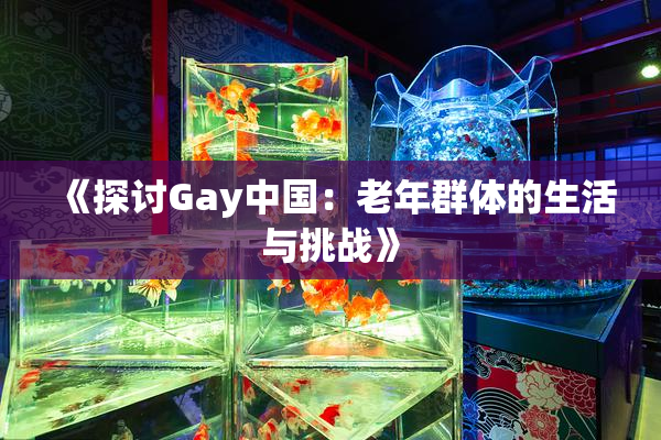《探讨Gay中国：老年群体的生活与挑战》