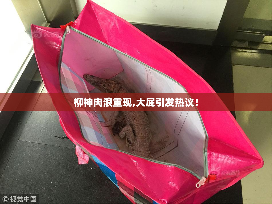 柳神肉浪重现,大屁引发热议！