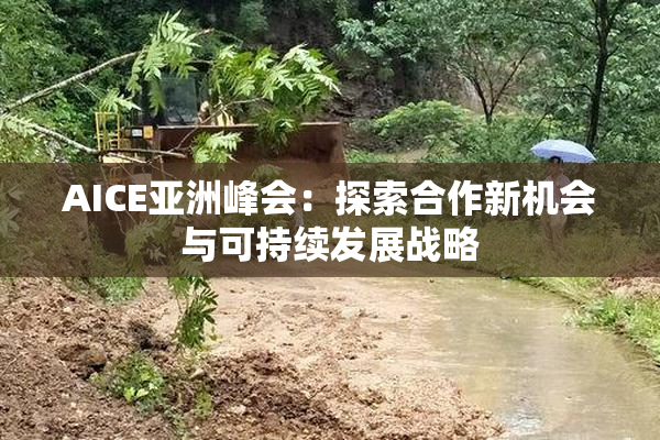 AICE亚洲峰会：探索合作新机会与可持续发展战略