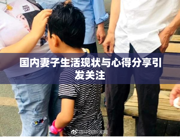 国内妻子生活现状与心得分享引发关注