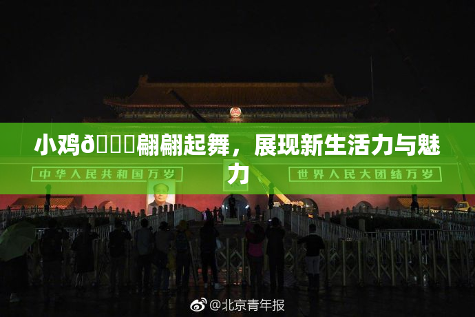 小鸡🐔翩翩起舞，展现新生活力与魅力