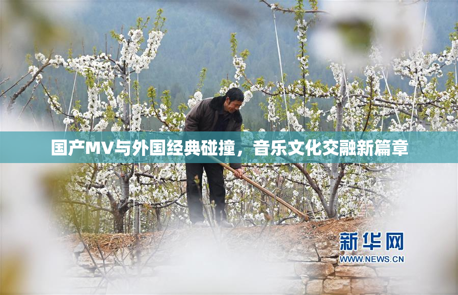 国产MV与外国经典碰撞，音乐文化交融新篇章