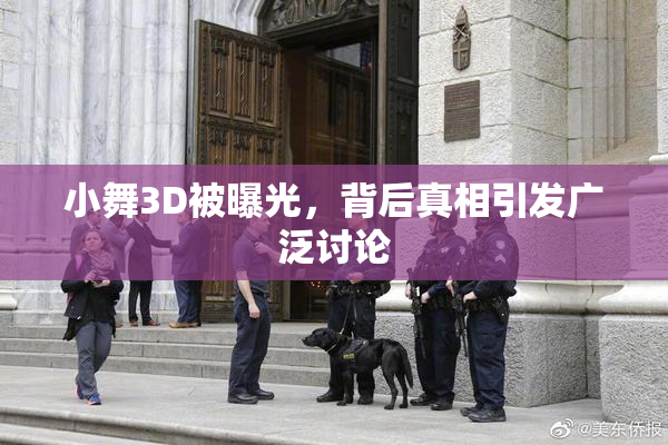 小舞3D被曝光，背后真相引发广泛讨论