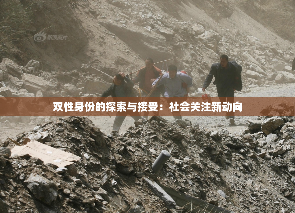 双性身份的探索与接受：社会关注新动向