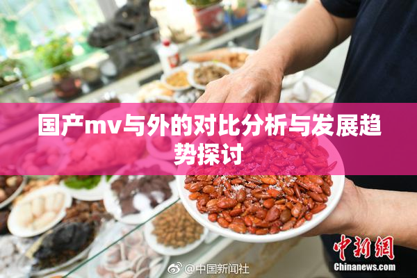 国产mv与外的对比分析与发展趋势探讨