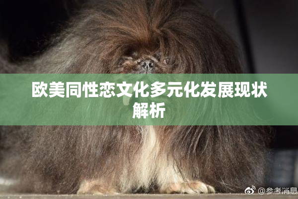 欧美同性恋文化多元化发展现状解析