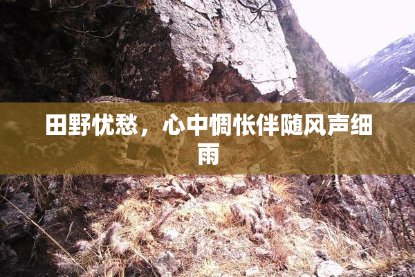 田野忧愁，心中惆怅伴随风声细雨