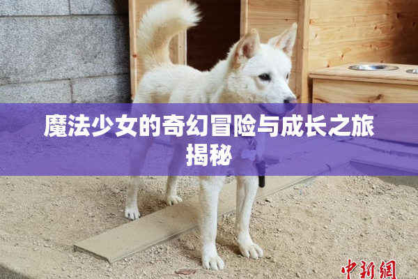 魔法少女的奇幻冒险与成长之旅揭秘