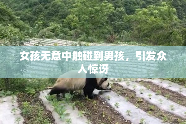 女孩无意中触碰到男孩，引发众人惊讶