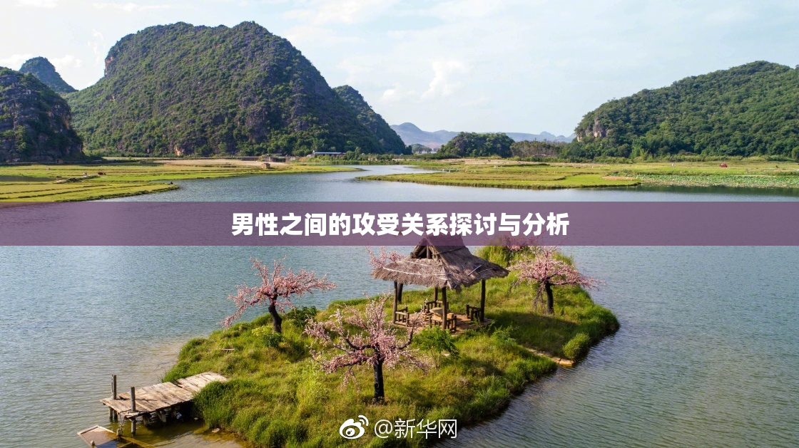 男性之间的攻受关系探讨与分析