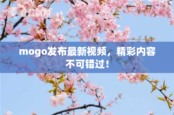 mogo发布最新视频，精彩内容不可错过！
