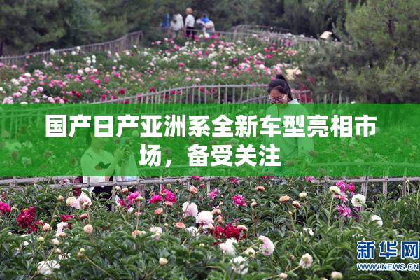 国产日产亚洲系全新车型亮相市场，备受关注
