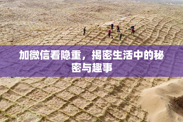 加微信看隐重，揭密生活中的秘密与趣事