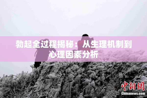 勃起全过程揭秘：从生理机制到心理因素分析