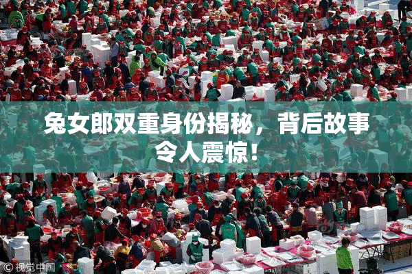 兔女郎双重身份揭秘，背后故事令人震惊！