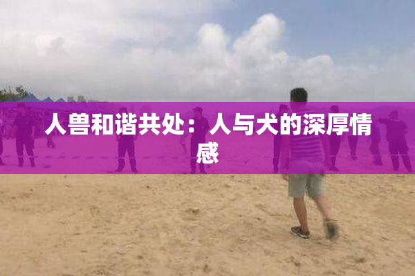 人兽和谐共处：人与犬的深厚情感