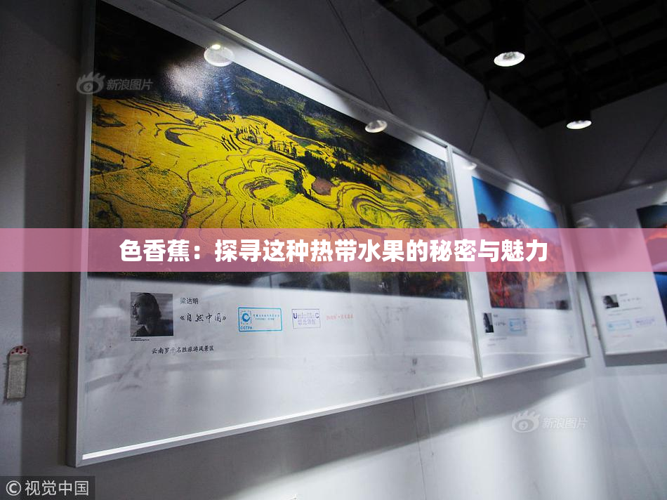 色香蕉：探寻这种热带水果的秘密与魅力