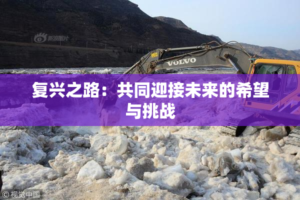 复兴之路：共同迎接未来的希望与挑战